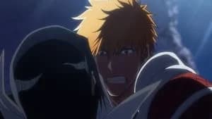 Bleach 2. Sezon 30. Bölüm