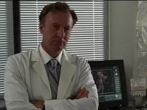 Law & Order 14. Sezon 3. Bölüm