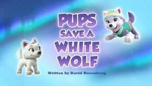 PAW Patrol 6. Sezon 37. Bölüm