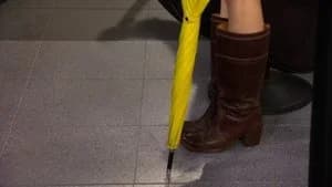 How I Met Your Mother 8. Sezon 24. Bölüm