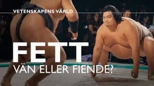 Vetenskapens värld 48. Sezon 10. Bölüm