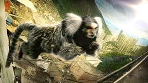 Hidden Kingdoms 1. Sezon 3. Bölüm