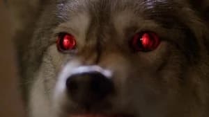 The X-Files 6. Sezon 16. Bölüm