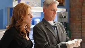 NCIS 7. Sezon 18. Bölüm
