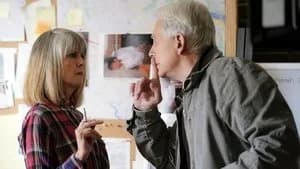 NCIS 18. Sezon 16. Bölüm