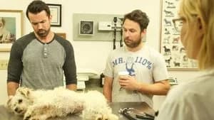 It's Always Sunny in Philadelphia 14. Sezon 9. Bölüm