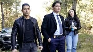 NCIS 22. Sezon 15. Bölüm