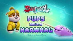 PAW Patrol 4. Sezon 36. Bölüm