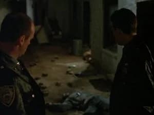 Law & Order 1. Sezon 8. Bölüm