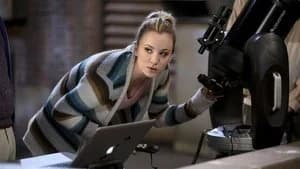 The Big Bang Theory 11. Sezon 21. Bölüm