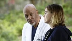 Grey's Anatomy 12. Sezon 9. Bölüm