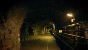 Vetenskapens värld 51. Sezon 19. Bölüm