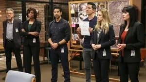Criminal Minds 13. Sezon 21. Bölüm