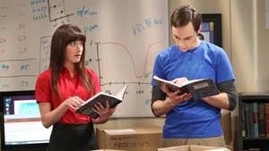 The Big Bang Theory 6. Sezon 3. Bölüm
