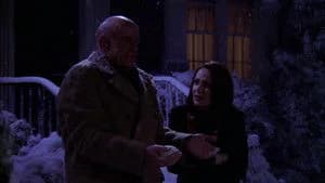 Everybody Loves Raymond 6. Sezon 14. Bölüm