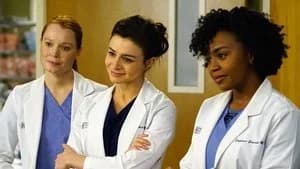 Grey's Anatomy 12. Sezon 17. Bölüm