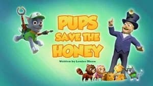 PAW Patrol 6. Sezon 9. Bölüm