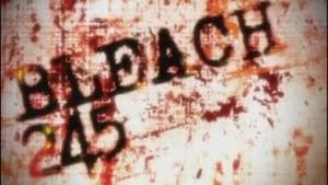 Bleach 1. Sezon 245. Bölüm