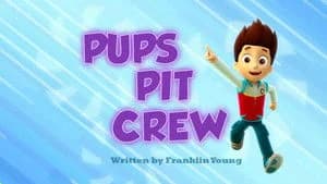 PAW Patrol 1. Sezon 11. Bölüm