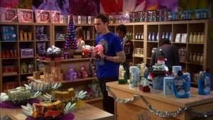 The Big Bang Theory 2. Sezon 11. Bölüm