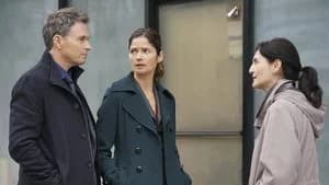 Madam Secretary 2. Sezon 18. Bölüm