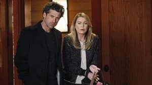 Grey's Anatomy 10. Sezon 21. Bölüm