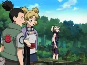 Naruto 4. Sezon 218. Bölüm