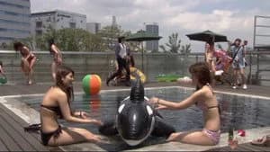 仮面ライダー 20. Sezon 41. Bölüm