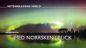 Vetenskapens värld 47. Sezon 10. Bölüm