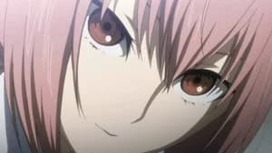 Steins;Gate 1. Sezon 17. Bölüm