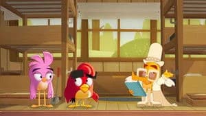 Angry Birds: Summer Madness 1. Sezon 12. Bölüm
