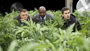 Brooklyn Nine-Nine 3. Sezon 16. Bölüm