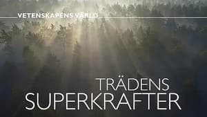 Vetenskapens värld 47. Sezon 15. Bölüm
