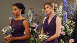 Grey's Anatomy 12. Sezon 24. Bölüm