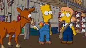 The Simpsons 19. Sezon 17. Bölüm