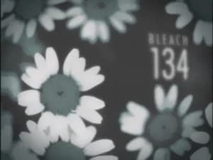Bleach 1. Sezon 134. Bölüm