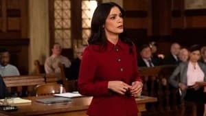 Law & Order 23. Sezon 9. Bölüm