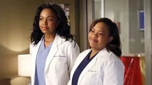 Grey's Anatomy 10. Sezon 23. Bölüm