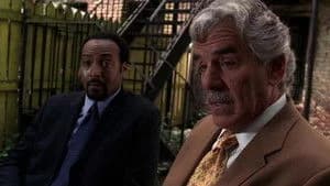 Law & Order 15. Sezon 4. Bölüm