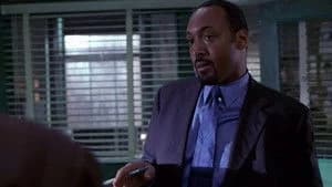 Law & Order 12. Sezon 8. Bölüm