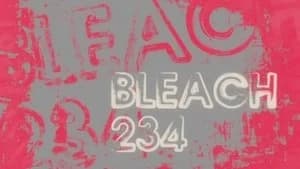 Bleach 1. Sezon 234. Bölüm