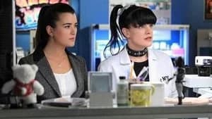 NCIS 10. Sezon 18. Bölüm