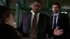 Law & Order 20. Sezon 10. Bölüm