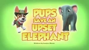 PAW Patrol 5. Sezon 26. Bölüm