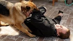 NCIS 5. Sezon 13. Bölüm
