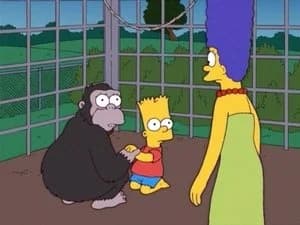 The Simpsons 17. Sezon 14. Bölüm