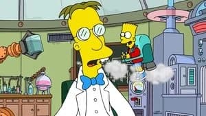 The Simpsons 37. Sezon 6. Bölüm
