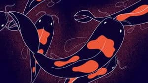 Headspace Guide to Sleep 1. Sezon 3. Bölüm