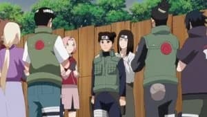 Naruto Shippūden 20. Sezon 428. Bölüm