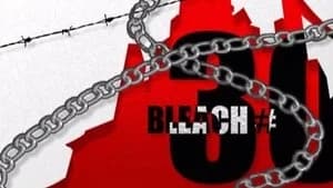 Bleach 1. Sezon 30. Bölüm